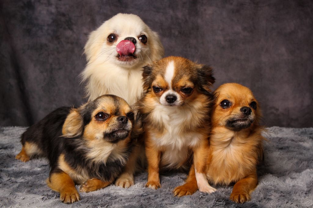 Séance Photo